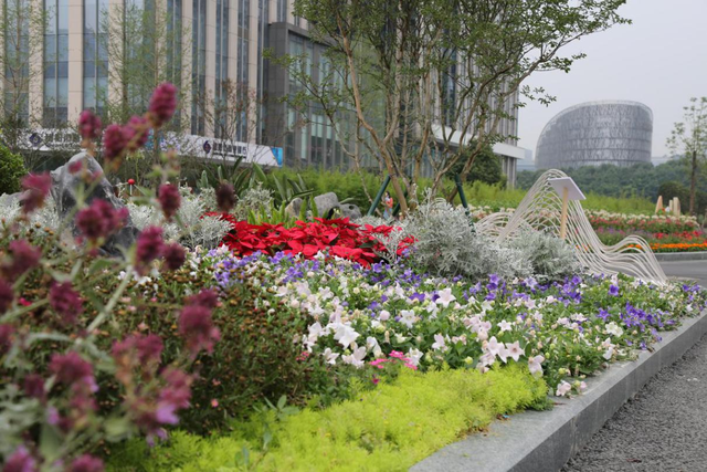 成都花卉苗木基地在地资产达800余亿元