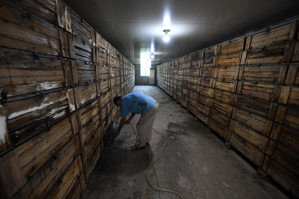 经济蜗牛养殖助力乡村共同富裕