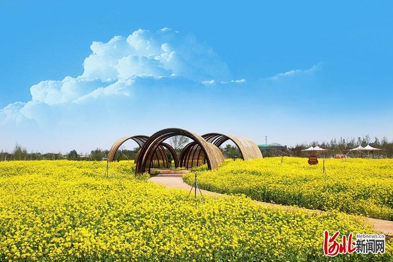 探营保定卓正神农现代农业示范园都市型现代农业改变都市人生活