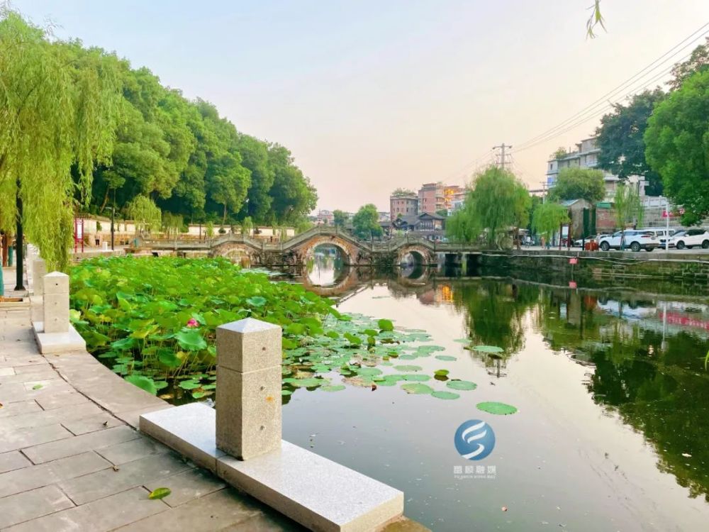 速看富顺西湖又有新变化啦