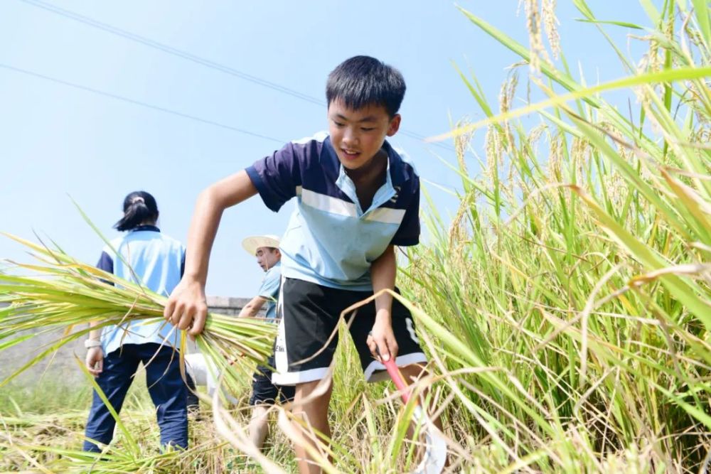 江西高坪中学图片