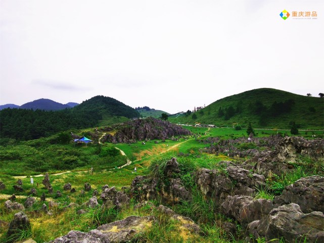 千野草場|武陵山國家森林公園|燒烤|風吹嶺|露營|重慶