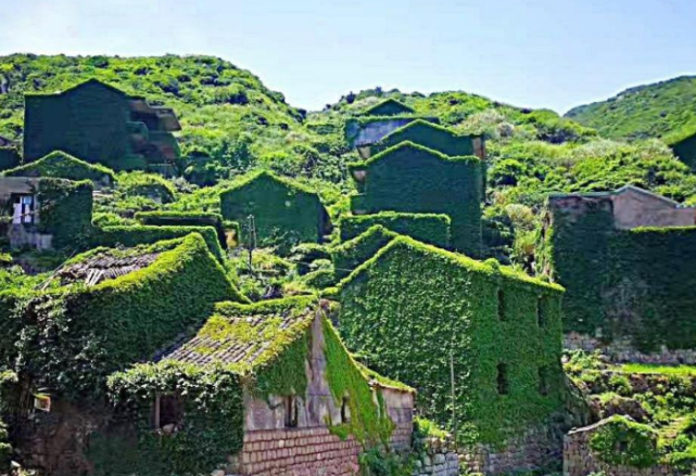 浙江最美无人岛如今人迹罕至被称中国版的绿野仙踪