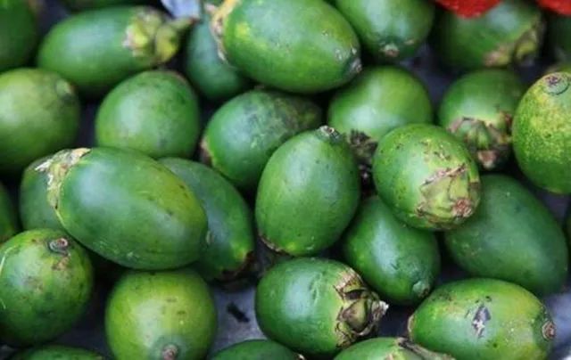 海南槟榔青果收购价格行情(2021年10月4日)