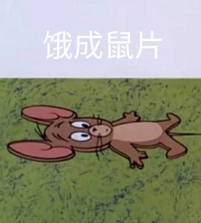 汤姆杰瑞表情包