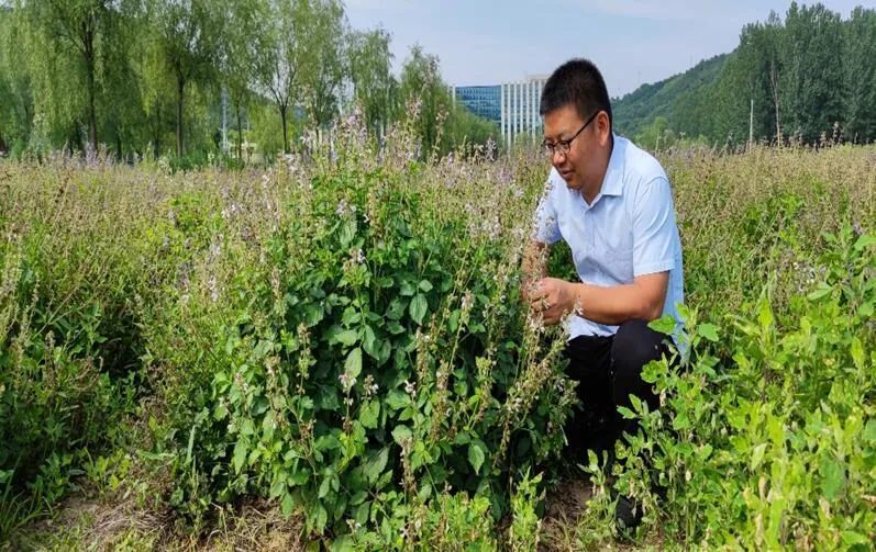 赵宏光在田间地头书写人生论文