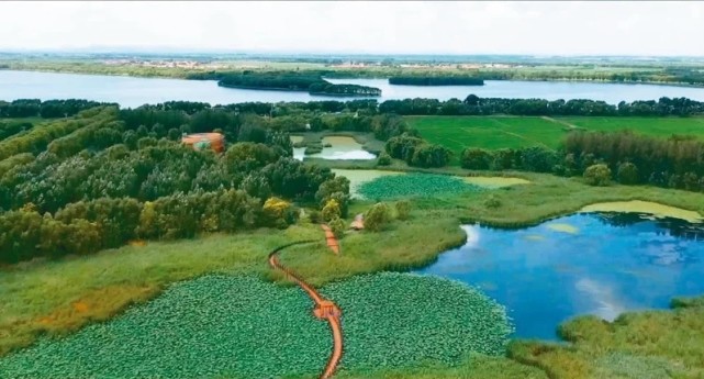 臺媒:蓮花湖溼地公園風貌獨特 被稱為