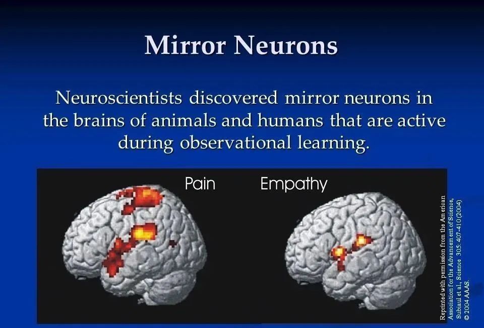 与大脑神经元相互激活,而对于年幼的孩子来说,镜像神经元被刺激得越多