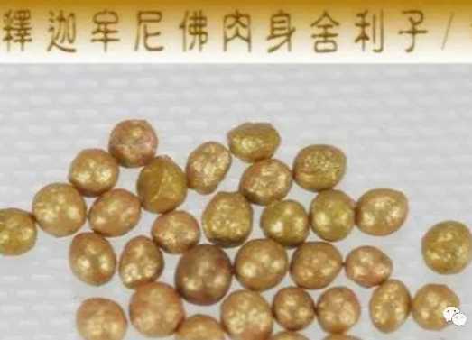 南怀瑾舍利子图片-南怀瑾老师的舍利能看到吗