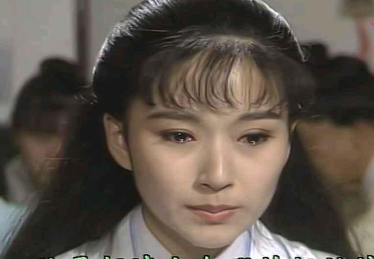 在《家有仙妻》,台湾版《红楼梦》,《碧海情天》,《仙人掌花》,《惊世