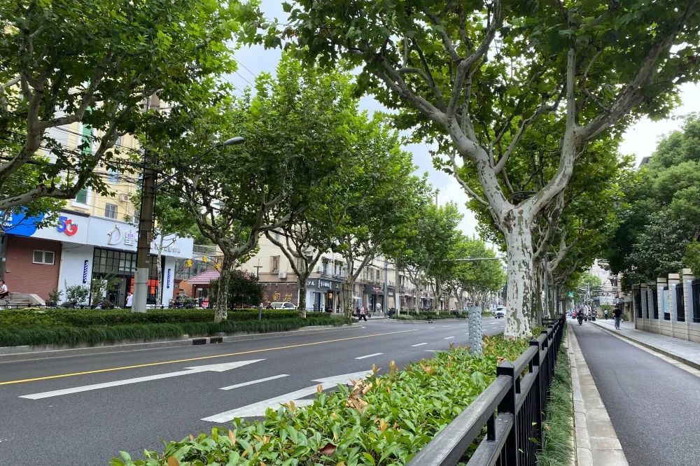 (延长路)(广延路)浦东新区南码头林荫片区(南码头路)(兰陵路)(临沂路)