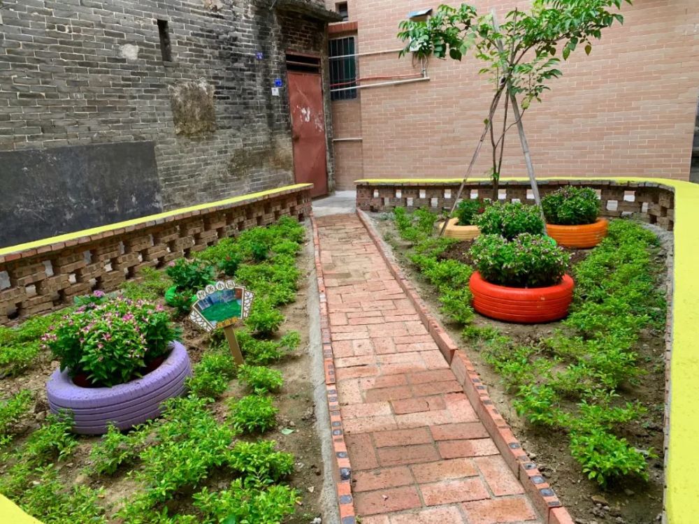 赏美景不需远游村中建起的四小园美如桃花源