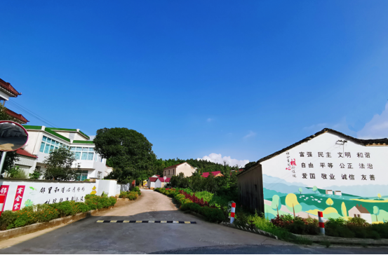 乡村振兴丨新河镇:工业发展,乡村振兴 双剑合璧谋发展