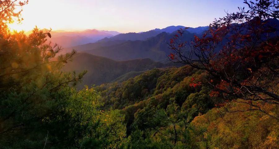 天子峪村|一座不起眼的小村子,有多少宝藏等着你去发掘?