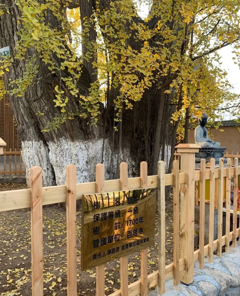 天子峪村|一座不起眼的小村子,有多少宝藏等着你去发掘?