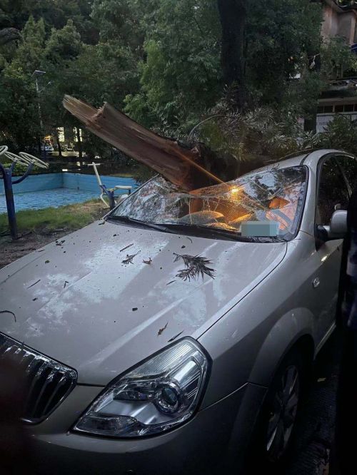 狂风暴雨袭榕大风吹断树枝树下小车被砸惨了