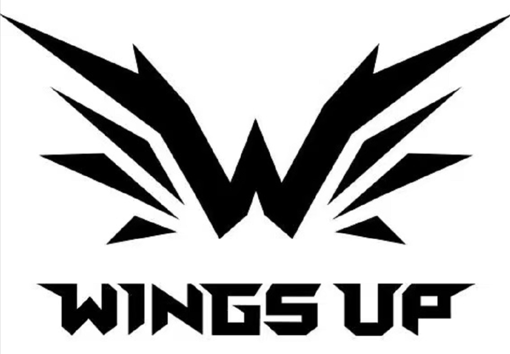 cfhd冠军杯精英组战队巡礼wingsupmvglgewe