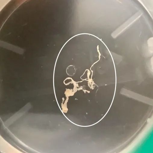 到底要不要用洗眼液多人试用效果惊掉下巴这么脏是认真的吗