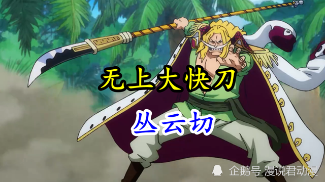 白胡子的武器是一把长柄刀,名为"丛云切",位列无上大快刀十二工之一.