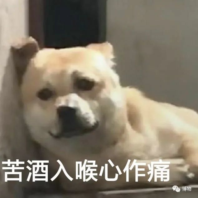 我夸同事是猛男 他却把我揍了一顿 腾讯新闻