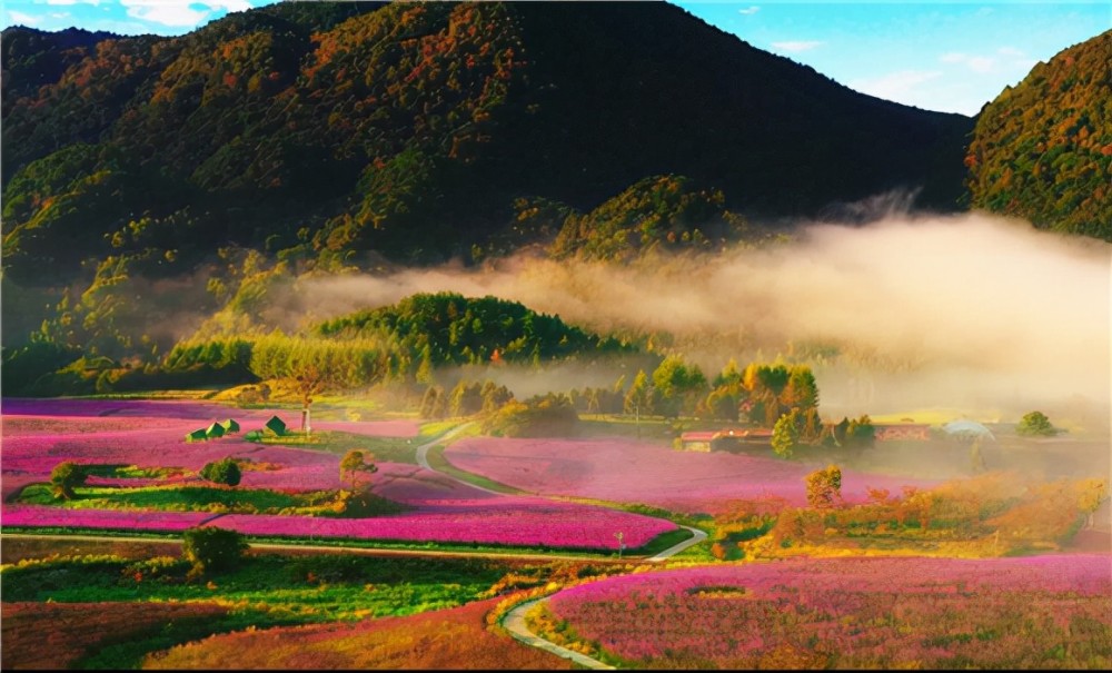 巫溪的红与绿|奏响"红绿变奏曲"