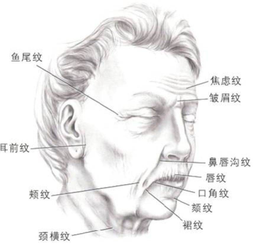 东西方的审美差别究竟有多大？看这4位在国外被“捧上天”的女星