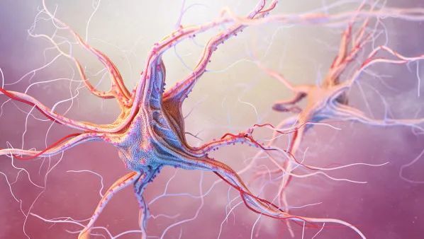 进行性神经元疾病,其发病率也是比较高的,而且一旦发病寿命长度就会缩