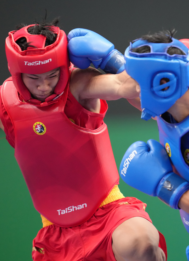 (全运会)武术散打——男子75公斤级决赛:柳文龙夺冠