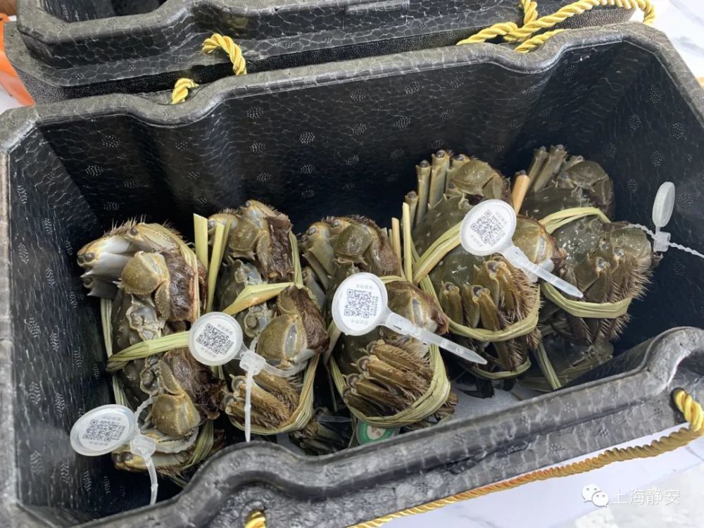 水产摊主吴女士介绍,大闸蟹的价格按照蟹的雌雄和大小有所不同,在20元