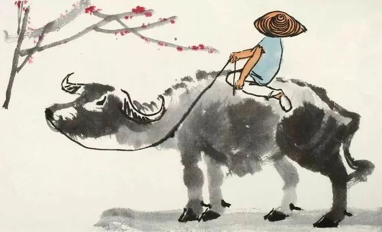 秋分至秋意浓