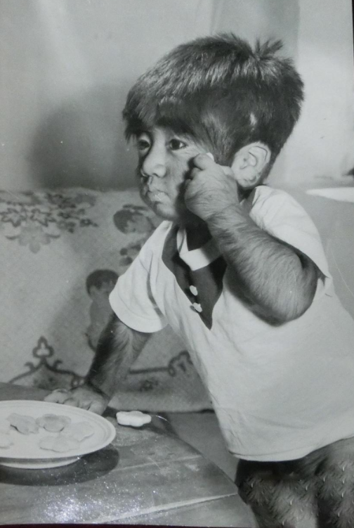 的毛发都消失了,至于为什么会浑身毛发,专家组认为这是一种返祖现象