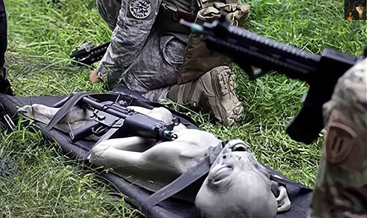 外星人揭秘3灰人族通过7种方式扩大族群三型克隆灰人意外坠亡