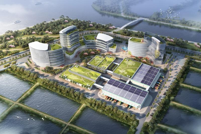 丰收啦广州南沙农业总产值首次突破百亿元