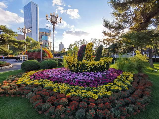 长春市儿童公园"2021金秋菊花展"9月26日起与您相约