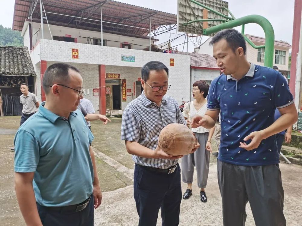 三培育三引领丨乐至县检察院明思路抓落实助推基层院建设新发展