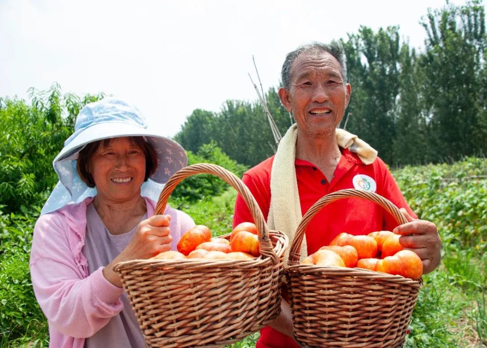 豐收的意義農民幸福感獲得感成色更足