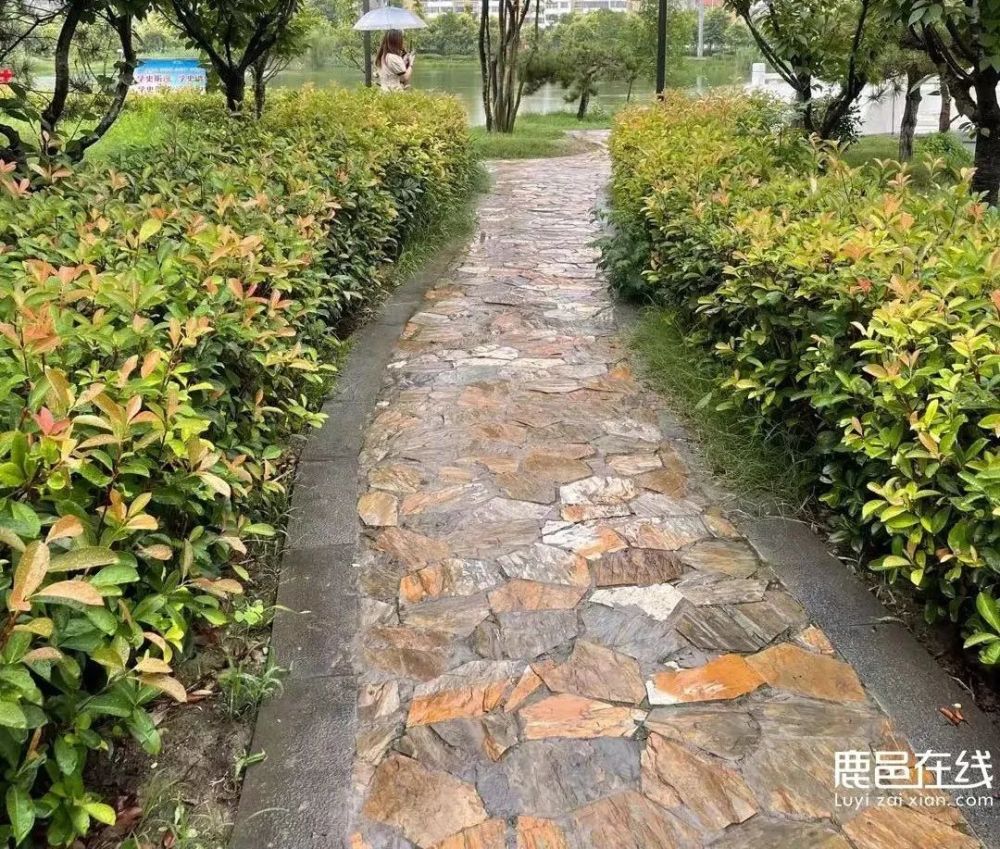 公園裡的石板路,是否也見證了你們的愛情?