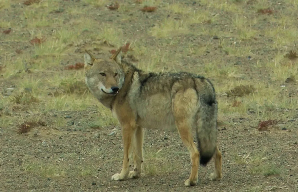 ɽ_ģɽɽ_ģɽջսɽ