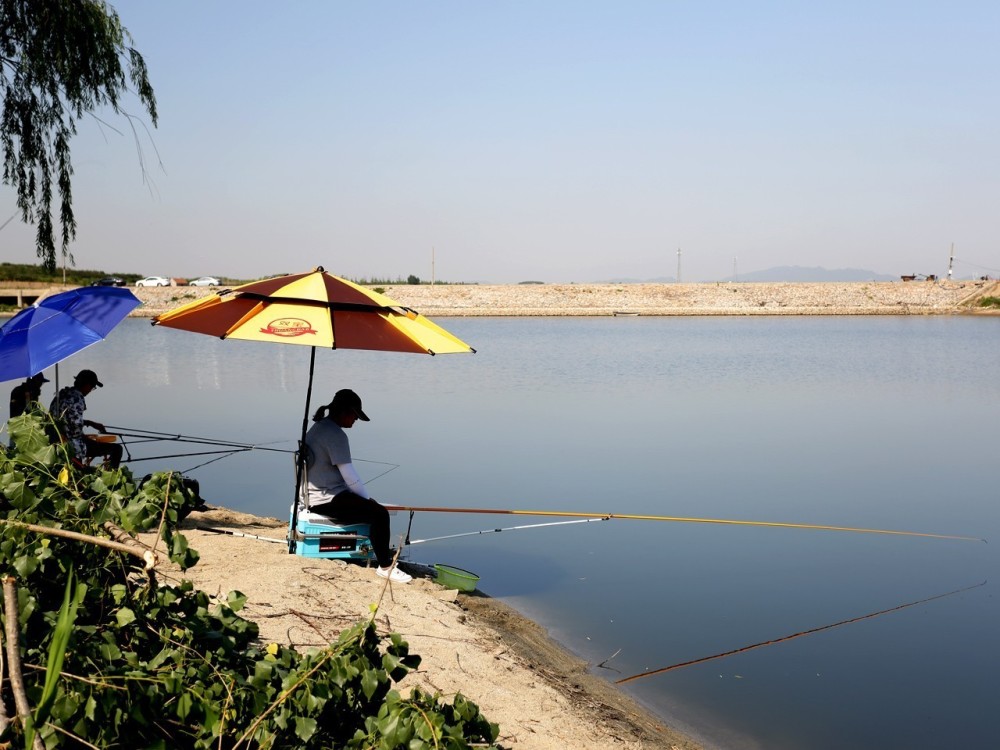 规律三,气温突降骤升不出钓鱼是低级变温动物,对环境温度的上升或者