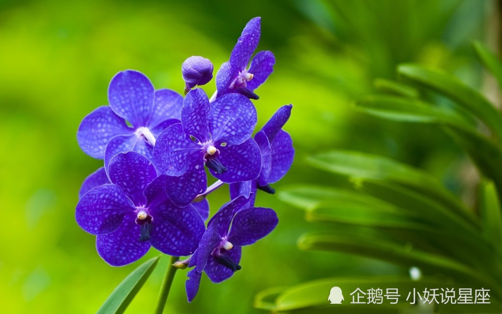 9月25日爱情运势 配合默契 感情升温的四大星座 腾讯新闻