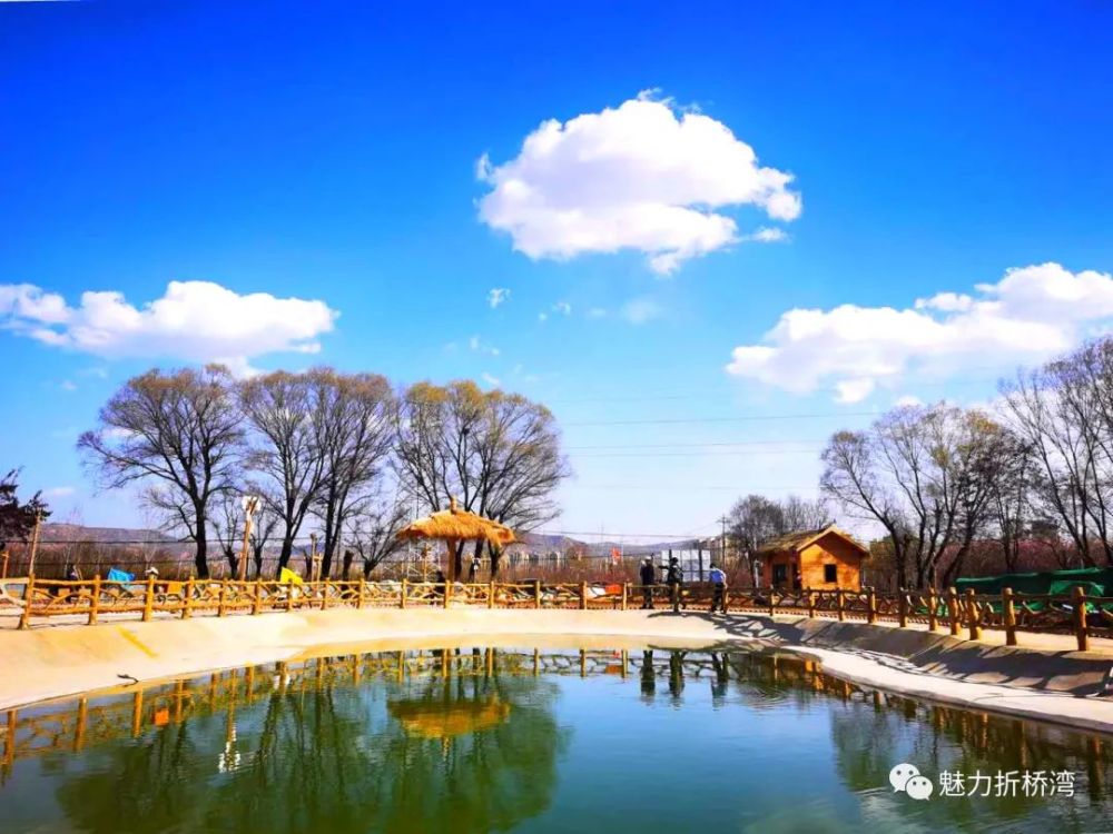 向往的生活 | 临夏市折桥镇