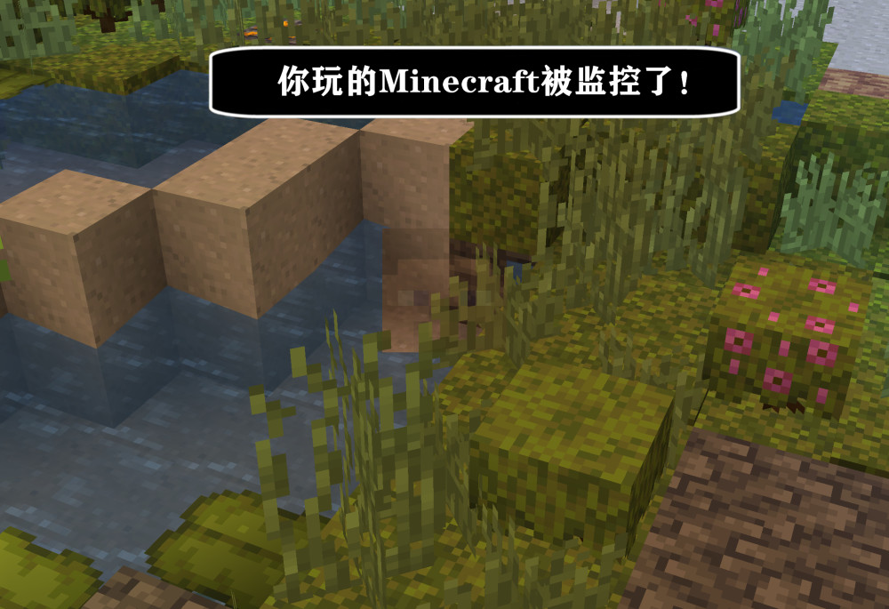 我的世界21w38a 快照 加入了要塞 疾跑 还有一种奇怪的语言 全网搜