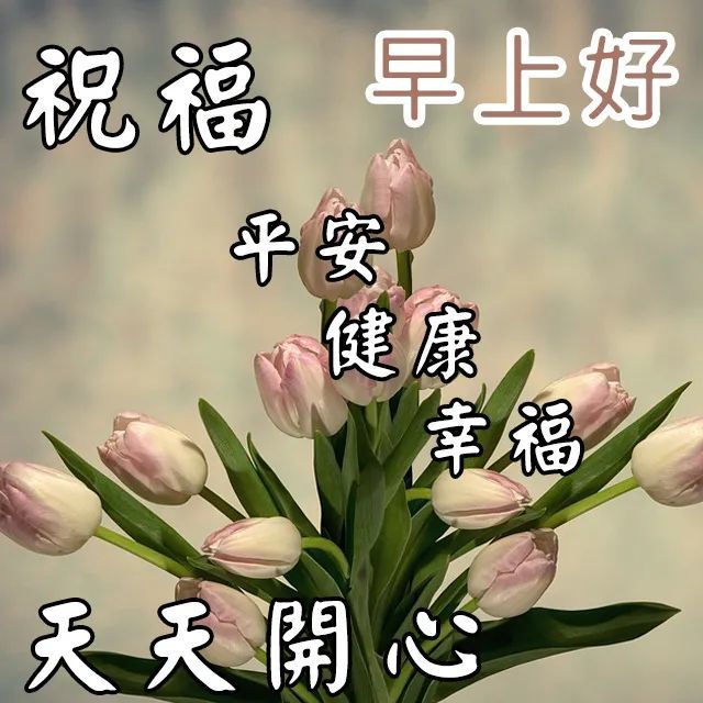 週末愉快圖片大全高清週末圖片祝福語最新