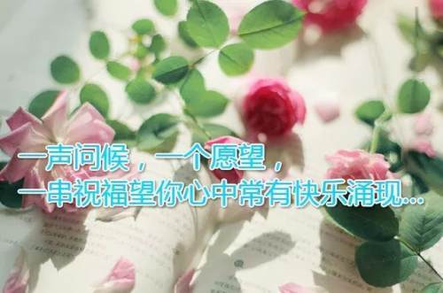 早晨安好不管天气如何变我的祝福永不变愿你天天顺心早安