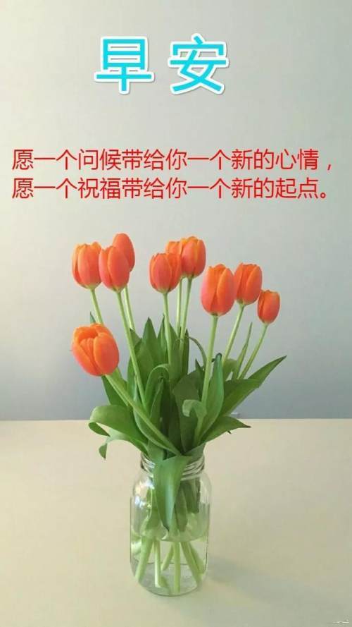 早晨安好不管天气如何变我的祝福永不变愿你天天顺心早安