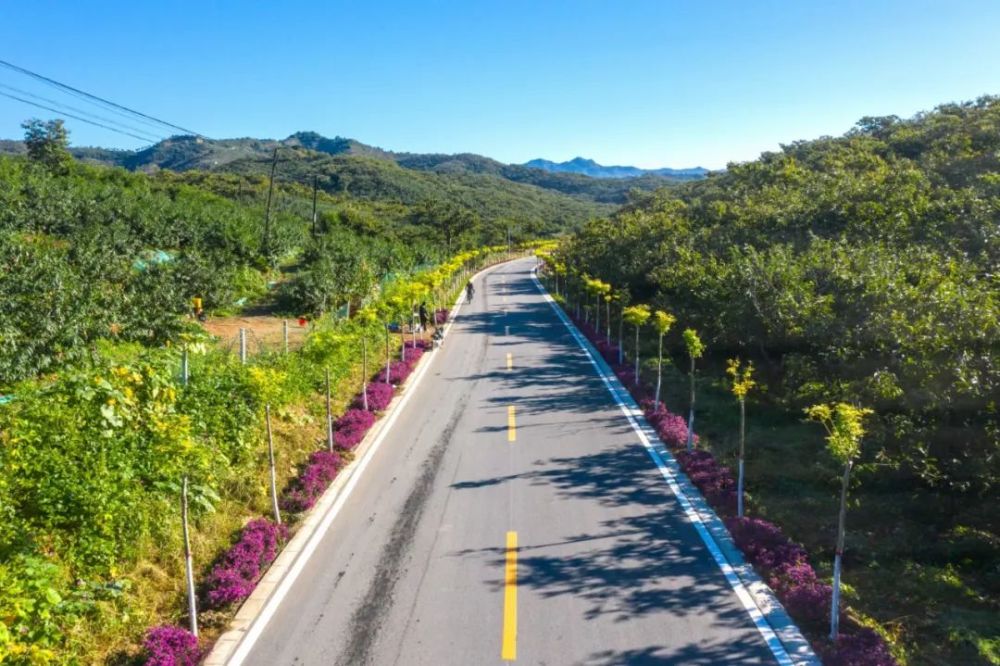 一路风景美如画