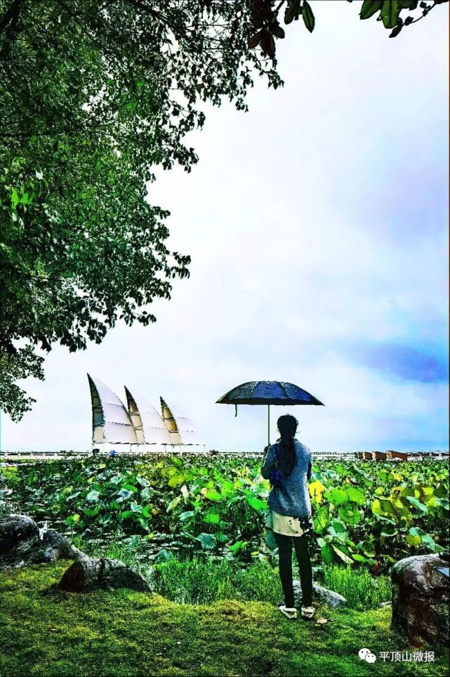 電閃雷鳴傾盆大雨昨天你被雷聲驚到了嗎