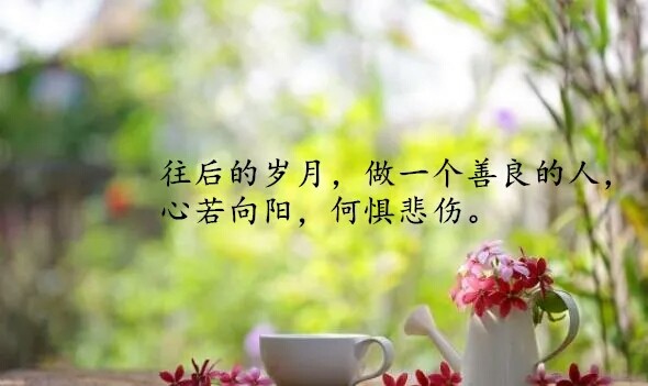 精闢到噎死人的心情句子現實又扎心