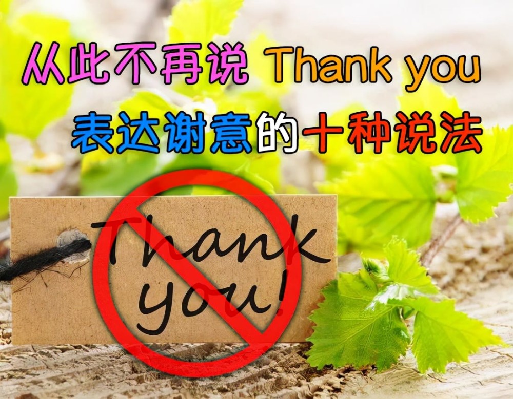 不再用thankyou表達謝意提升英語你的新高度