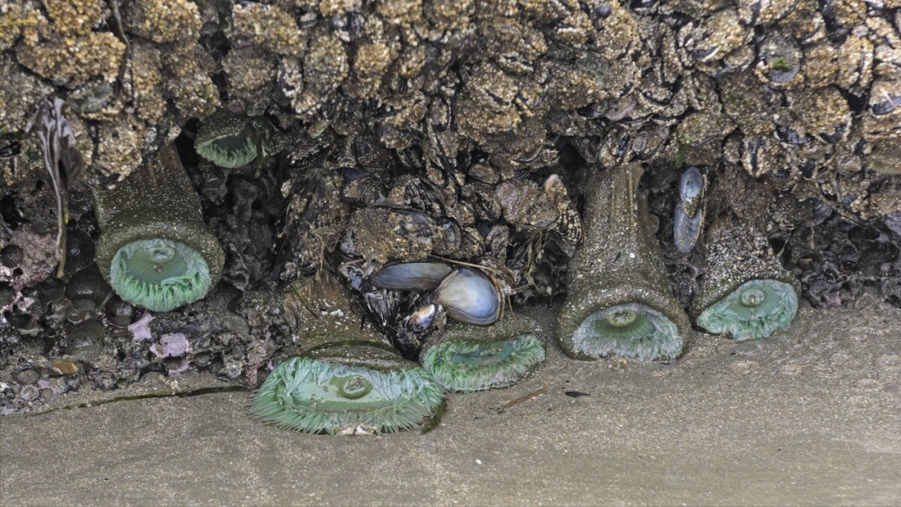 轮船底部为什么要涂成红色科普船底谜团原来作用这么大